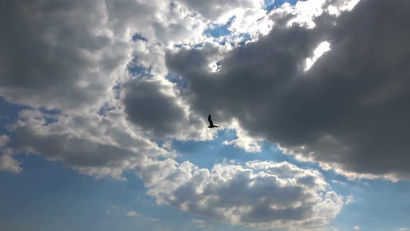 White Clouds In A Blue Sky