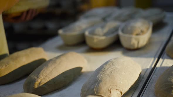 Close View of Baker's Hands Throw Out Freshly Roasted Bread From Baking Dishes