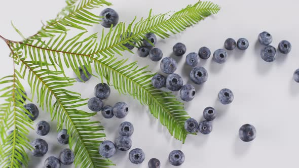 Fresh Blueberries On White Background alt