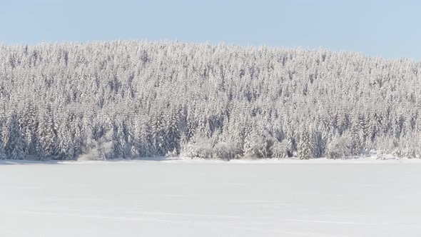 A Frozen Lake Covered with Snow in a Rural Area  a Forest in the Background