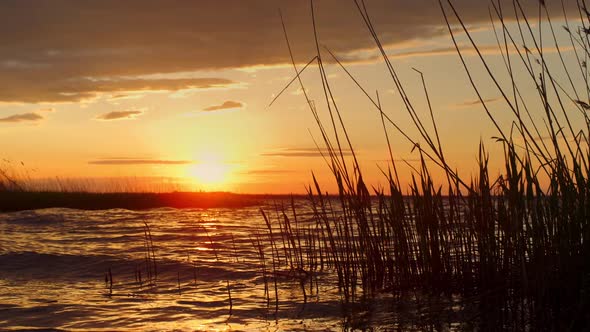 Sunset Beach Water Horizon Shining Golden Hour in Beautiful Nature Landscape