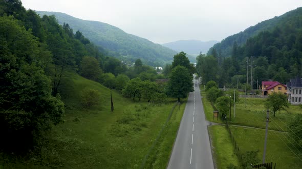 Aerial View of a Road in the Middle of the Green Forest