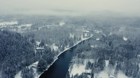 Foggy Winter Landscape - Drone Flying  4K - Mountains - Trees, rivers, snowy - Cinematic trees