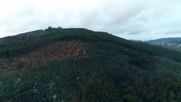 Deforestation on tropical mountainside, agricultural expansion; aerial