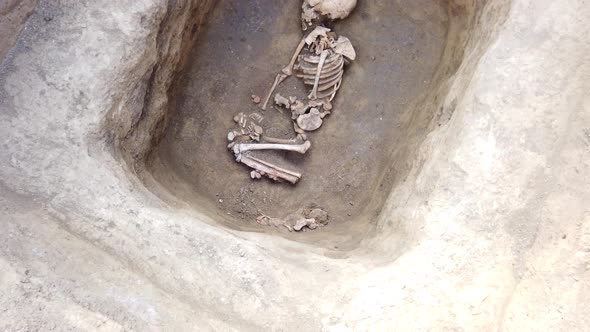 Archaeological excavations. Human remains, bones of skeleton and skulls