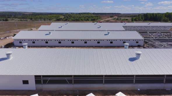 From a Birds Eye View on the Pig Farm the Production Facilities of the Livestock Breeding Complex