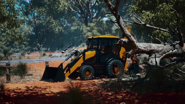 Excavator Tractor in Bush Forest