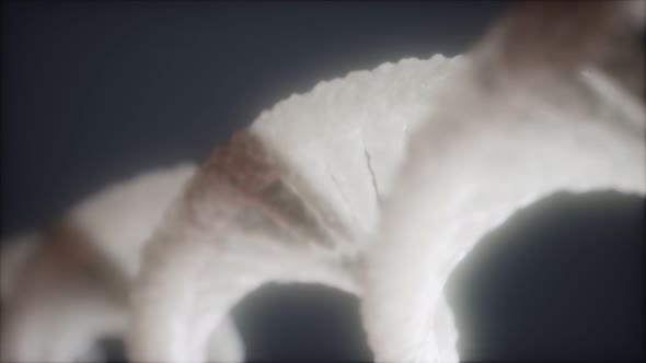 Loop Double Helical Structure of Dna Strand Close-up Animation alt