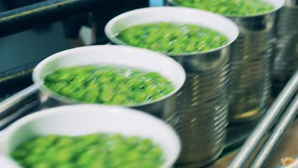 Tin Cans with Peas Are Getting Mechanically Transported