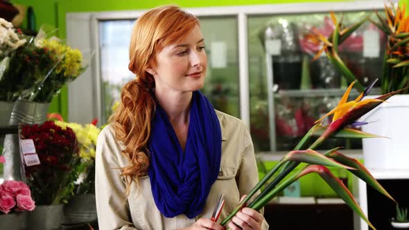 Female florist holding flowers