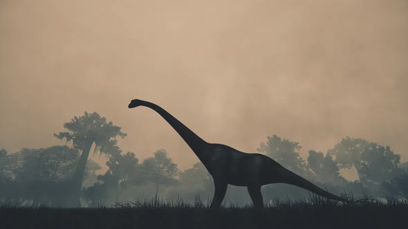 Dinosaur