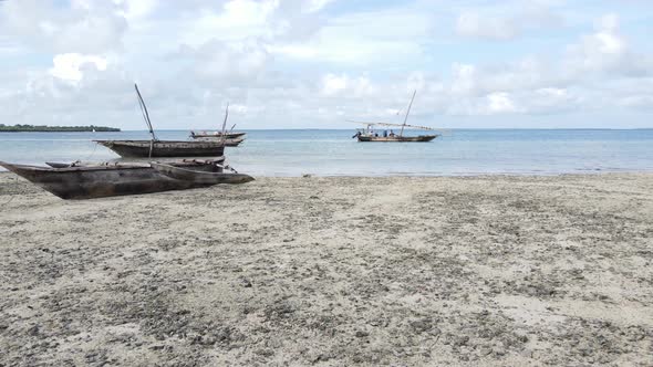 Shore of Zanzibar Island Tanzania at Low Tide