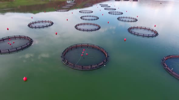 Pisciculture Fish Farming in Lake