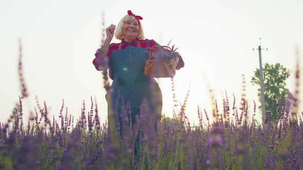 Senior Old Grandmother Farmer Gathering Lavender Flowers on Field Dancing Celebrating Success Win