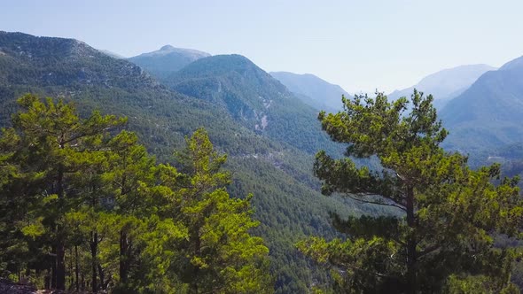 Top view of mountain valley covered with greenery