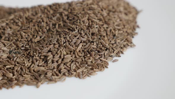 Caraway seed on white plate close-up 4K footage