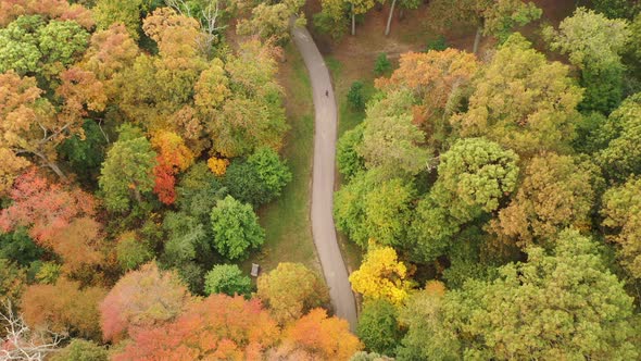 An aerial view of colorful trees in the day. Beneath the trees is a narrow walking path with one per