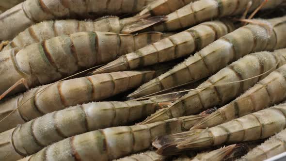 Frozen and Uncooked Shrimps Closeup in Box