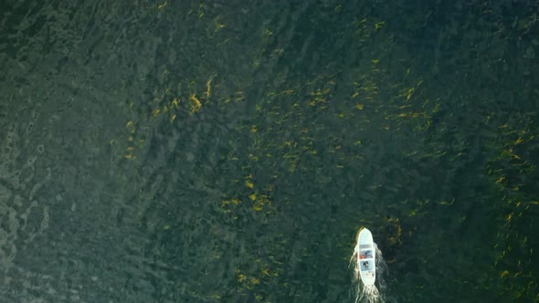 Motorboat is Swimming in the Transparent Water of Egirdir Lake with Seaweeds on the Bottom