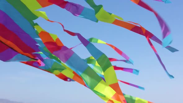 Kite on the Ocean alt