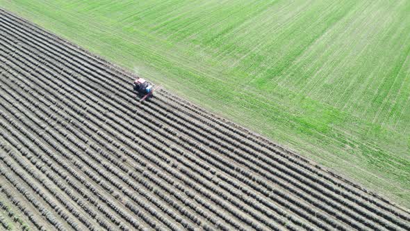 Aerial view of tractor spraying lavender field in springtime.