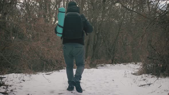 Hiker with Backpack Walking in the Pine Forest Covered with Deep Snow. Winter Activity 