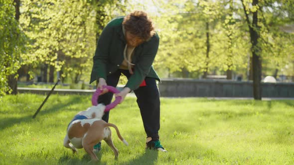 Staffordshire Terrier Playing with Male Owner in Park