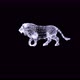 Lion Walk 4K Plexus - VideoHive Item for Sale