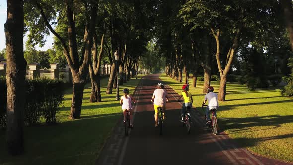 Young Cyclists Riding a Bikes Back View