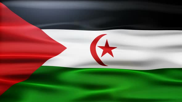 Western Sahara Flag Waving