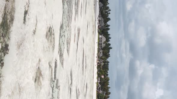 Vertical Video of Low Tide in the Ocean Near the Coast of Zanzibar Tanzania Aerial View