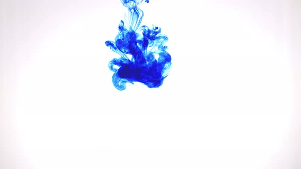 Ink Water Drops  Smoke Background  Drop Color Explosion Logo Reveal 20