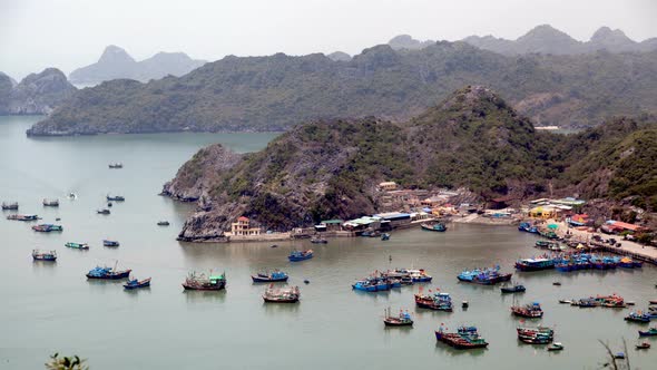 Fishing Port Cat Ba Island, Ha Long Bay, Vietnam 