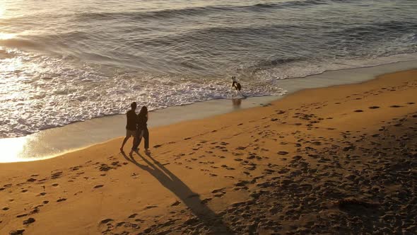Aerial shot of a couple walking their dog on the beach