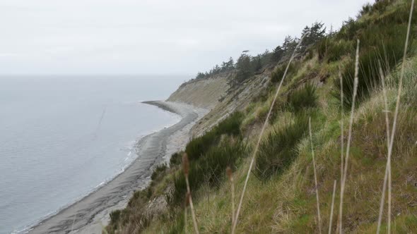 View of the steep cliffside overlooking the ocean at Ebey's Landing.