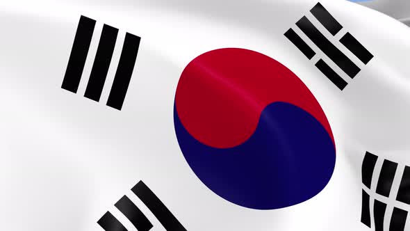 South Korea Flag alt