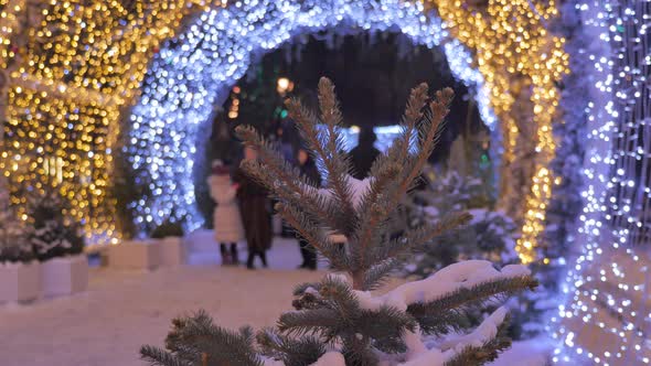 People Walk Along Festively Decorated Streets. Spruce with Snow in the Foreground. On the Background