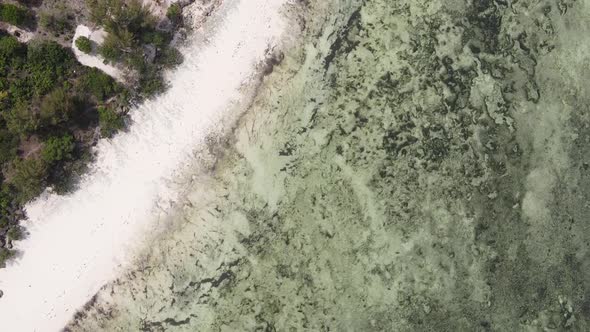 Vertical Video of the Ocean Near the Coast of Zanzibar Tanzania Aerial View