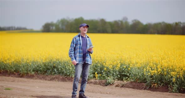 Farmer Examining Crops at Oil Seed Rapefield Farm