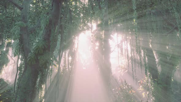 Morning Light in Beautiful Jungle Garden