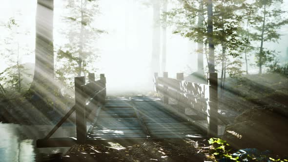 Mystical Old Wooden Bridge in the Fog