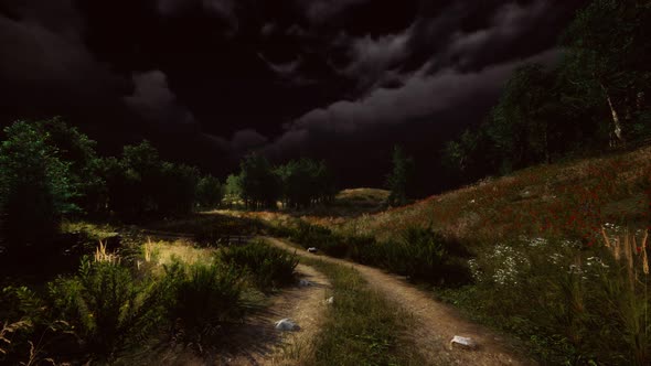 Thunderstorm Clouds with Lightning in Green Meadow