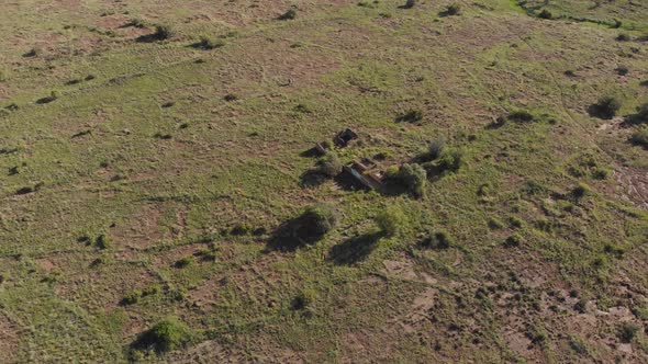 AERIAL Spiraling Down Old Ruins in a Green Field Late Afternoon