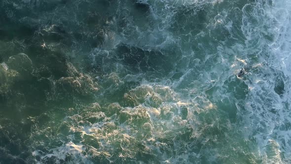 Top View Of Rough Waves In The Pacific Ocean With Sea Lions Swimming. aerial