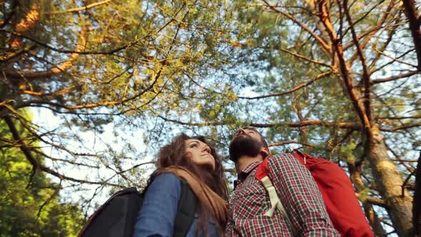 Young People Admire The Forest Landscape.