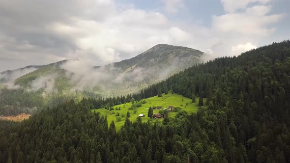 Aerial view of green Carpathian mountains covered with evergreen spruce pine forest