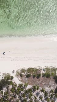 Vertical Video Boats in the Ocean Near the Coast of Zanzibar Tanzania