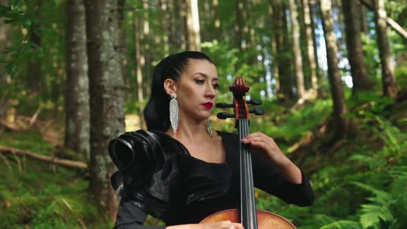 Attractive woman with musical instrument. 