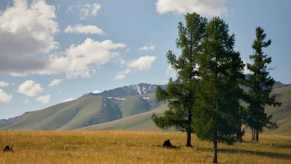 White clouds move over the tops of mountains