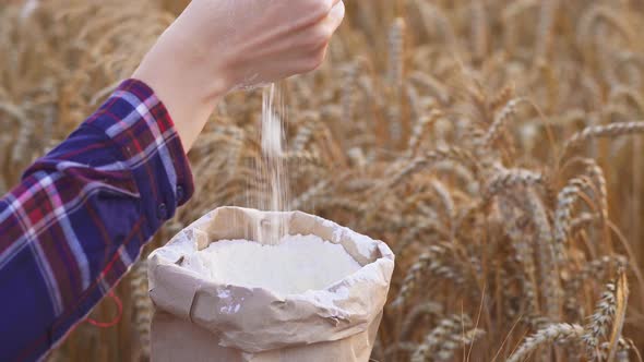 Close Up Of  Miller Or Baker's Hand Applying Flour On Field, Woman, Large Bag Of Organic Flour